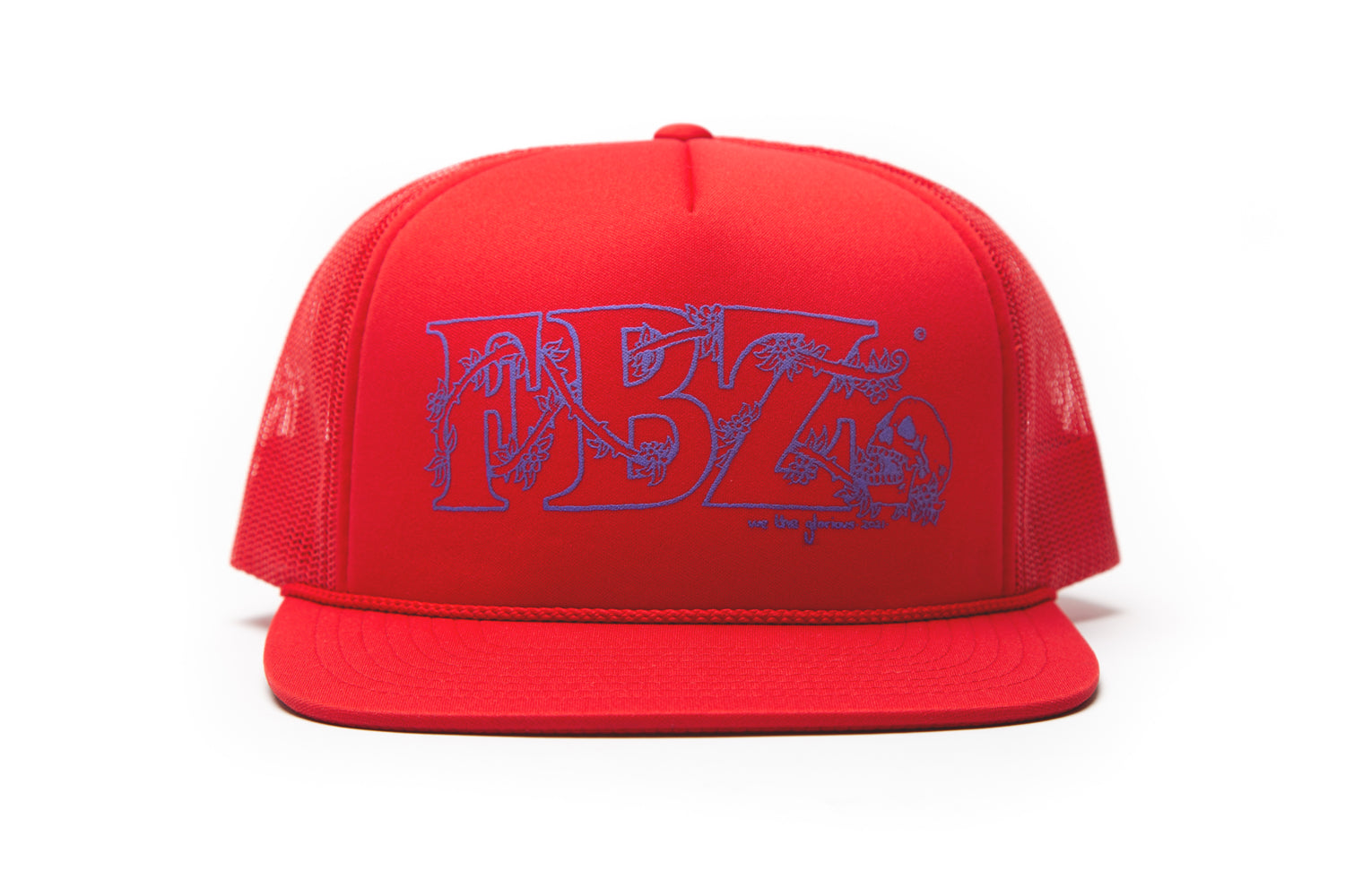 FLATBUSH - ZOMBIES - BEANIE - SKY BLUE – The Glorious Dead